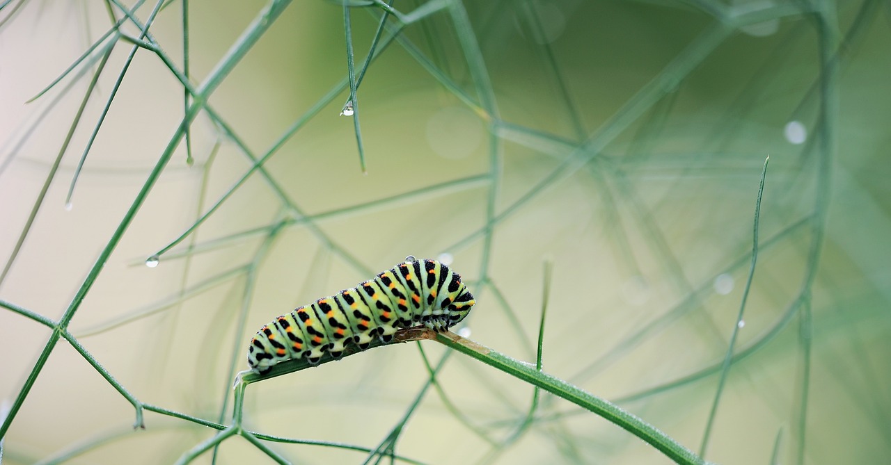 Exploring the Importance of Environmental Sustainability in Heritage